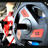 Диск обрезиненный 25 кг черно-красный AeroFit AFPLC