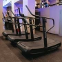 Беговая дорожка профессиональная инерционная механическая BRONZE GYM T940M CATERPILLAR (new 2026)
