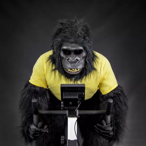 Велоэргометр с воздушной системой Concept2 BikeErg c русифицированным монитором PM5 и поддержкой Zwift Велоэргометр с воздушной системой Concept2 BikeErg c русифицированным монитором PM5 и поддержкой Zwift