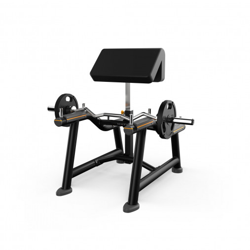 Скамья Л.Скотта в положении стоя Matrix Magnum A71