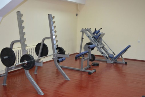 Жим ногами под углом 45°/ Гакк-машина AeroFit IF IFLPHS Жим ногами под углом 45°/ Гакк-машина AeroFit IF IFLPHS